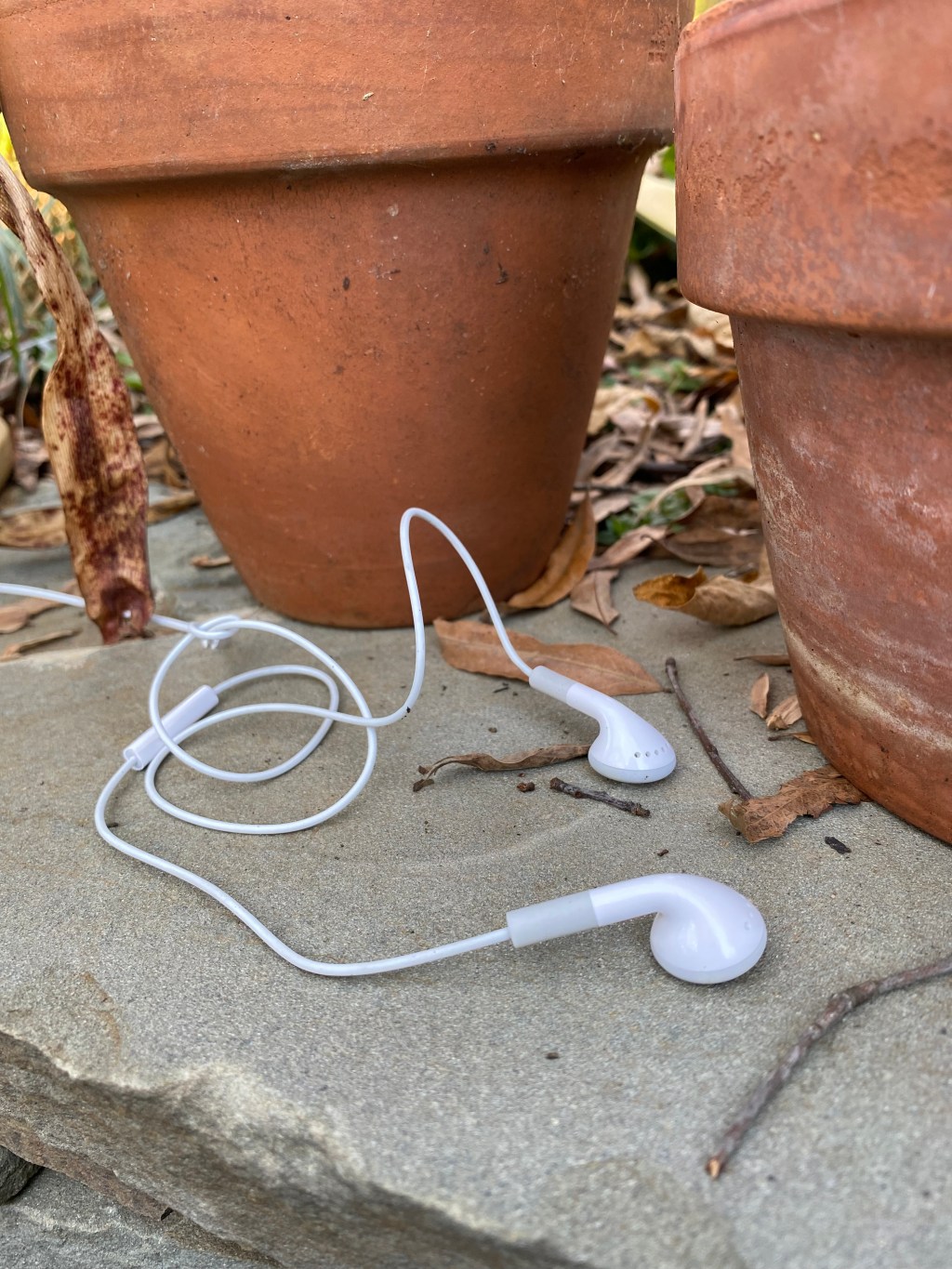 Looking for Gardening&nbsp;Podcasts