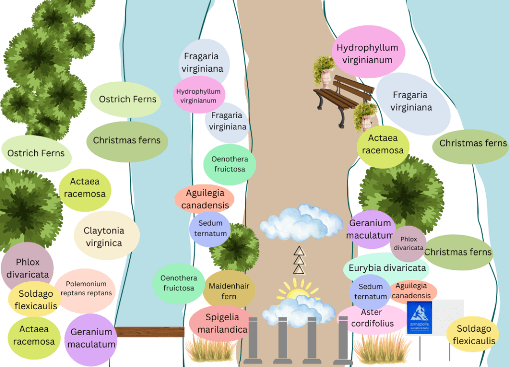 Planting Plan Giveaway!